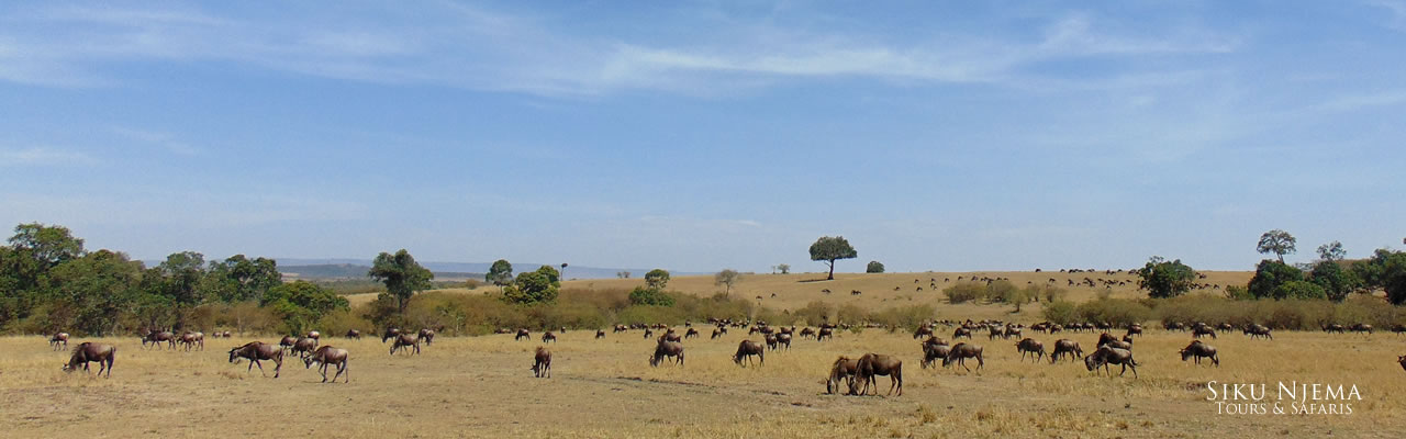 14 Days Best of Kenya Safari